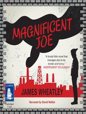 cover image of Magnificent Joe